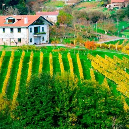 Country house Basarte *