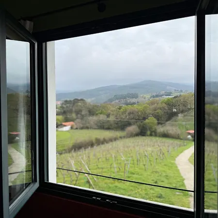 Basarte Country house